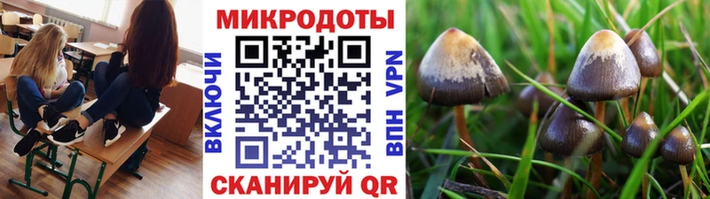 Галлюциногенные грибы мицелий blacksprut как войти Суоярви